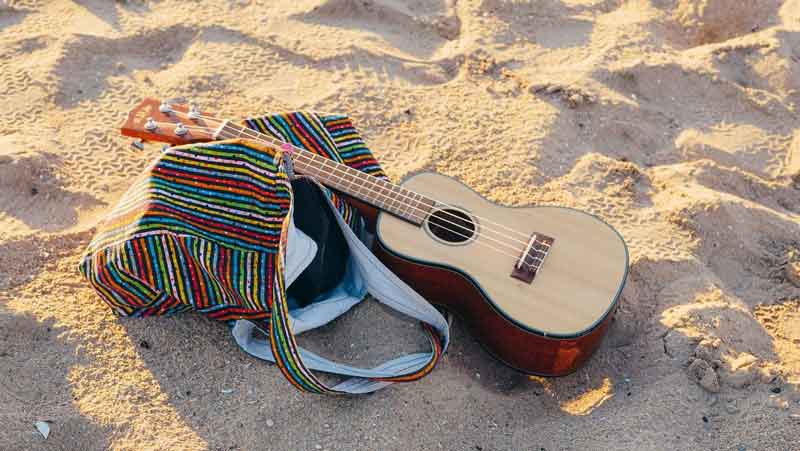 Sac de plage et guitard